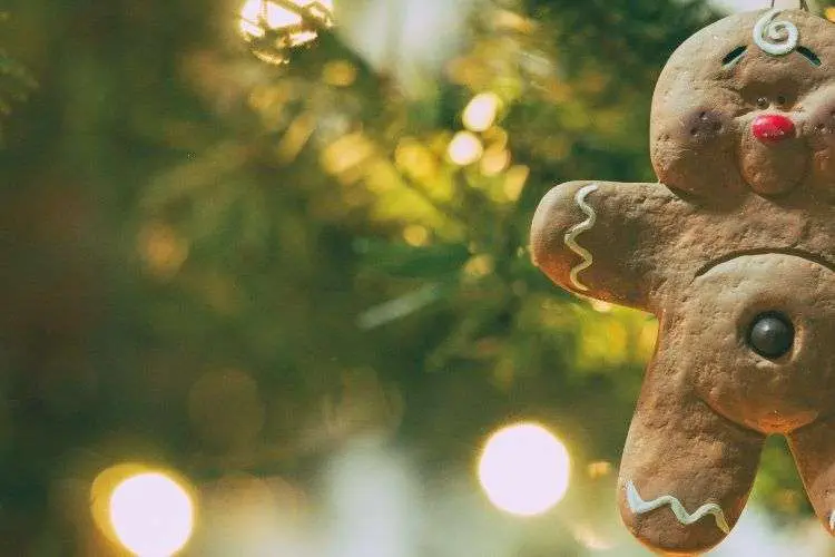 Family Boundaries Over the Holidays 2 Family Boundaries Over the Holidays
